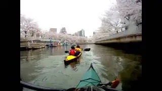 Kayaking at Oyoko River