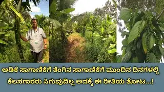 ಇಸ್ರೇಲ್ ಮಾದರಿಯಲ್ಲಿ ತೋಟವನ್ನು ನಿರ್ಮಿಸಿದ್ದಾರೆ..ಕಾರಣ ಮುಂದೆ ಕೆಲಸಗಾರರು ಸಿಗದೇ ಇರಬಹುದು ಹಾಗೂ ಕೃಷಿ ಸುಲಭವಾಗಲು