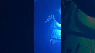 1 noviembre 2025 en vivo tik tok dj darkness 