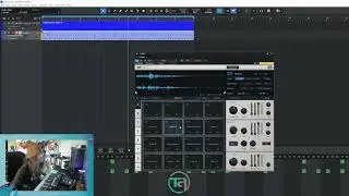 Zenfii Lofi  &mdash; Melody & Drum Kit Sample Pack
