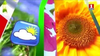 Погода 11.02.2016