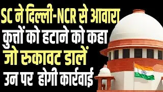 Supreme Court&rsquo;s Strict Order on Stray Dogs in Delhi-NCR | Legal Action for Obstruction | public news