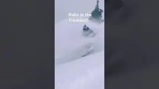 Insane powder turns! #Snow #Snowboard #Snowboarding #Woodward #Powder #deep pow #FYP ￼