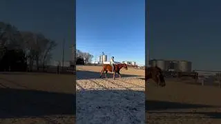 there&rsquo;s music on the video i promise😂 #horse #horseriding #equestrian #horsegirl #myhorse #horseman