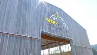 Blumer *BSB* AG Tragwerktechnik