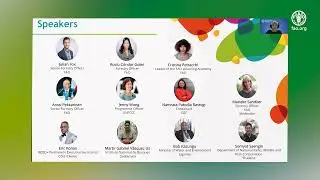 Learning from experiences to increase forest data transparency for climate action - Webinar