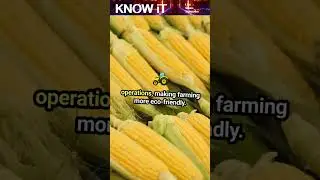 10 Interesting Facts About Plantation Engineering | KNOW iT