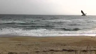 Wednesday, March 23 @ 10:00am. Outer Banks Surf Report from OBXsurfinfo.com