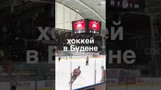 Любите ли вы хоккей как любят его шведы? #переездвшвецию #жизньвшвеции #влог #хоккей #sweden #hockey