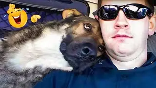 Funniest Animals of 2025  New Funny Cats and Dogs Videos