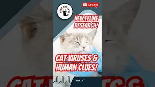 Feline clinical pathology with Dr. Amir Kol  - Purr Podcast Episode 204