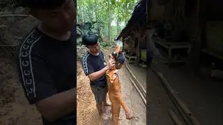 MANG UNI BIKIN LEPALA TOKEK RAKSASA