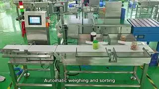 Weight sorting machine