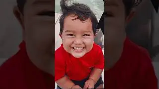 News 5 Year in Review - Viral Moments