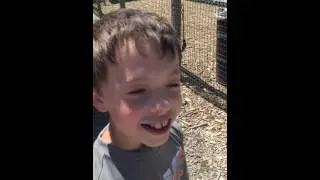 Smolak Farms