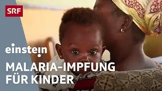 Malaria-Impfstoff für Kinder in Afrika – Leben retten mit Schweizer Hilfe | Einstein | SRF Wissen