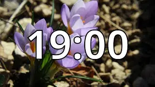 19 Minutes Timer with Music | Spring Timer