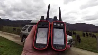 Alpha100 Vs. Atemos100