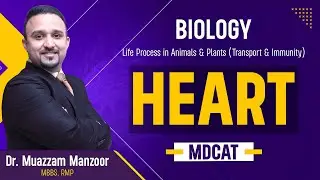 55. Biology | Life Process in Animals and Plants | Heart - 11.1 to 11.3 | MDCAT 2026