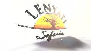 Lenyati Safaris Zebra Hunt