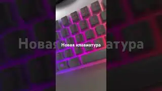 Название клавиатуры wk70 deltaco games