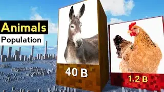 Animal population by country