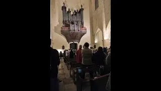 Nicolas de Grigny : Tierce en taille par Eric Lebrun, orgue Lépine de la cathédrale de Sarlat.