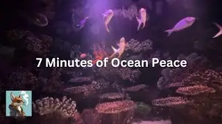 7 Minutes of Ocean Calm 🌊 | Fish & Sea Turtle Relaxation