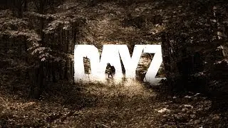 Alienware 14 2014 Gameplay GTX 765M - DayZ