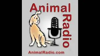 Episode 351