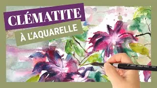 Peindre une clématite à l'aquarelle