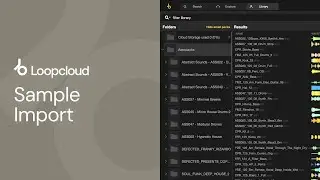 Sample Import & Auto Tagging | Loopcloud Basics