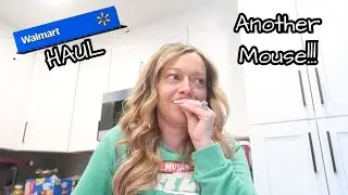 Crazy Mom Life Vlog | Walmart Haul, Meal Planning, Another Mouse, Still Sick