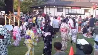 Japanese Festival