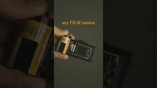 I'm back film review
