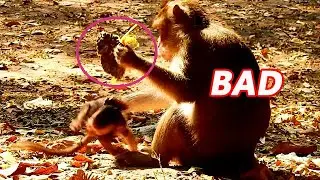 NOT LOVE ME...LOVE FOOD IN HAND !! ANNA FIGHT BABY ANISSA COS BABY ASK FRUIT FROM HAND.