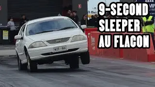 9-SECOND SLEEPER AU FALCON