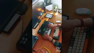 Mr. President - Coco Jamboo (Live Loop Cover) | Minilab 3 #ableton #arturia