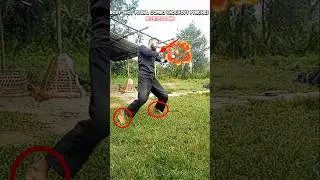 Aggressive Pitbull Combo | Fight Ending Strikes 🥊
