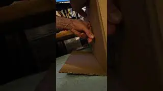 DIY, cheap cat entertainment starring Elsa the Ragdoll