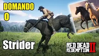 DOMANDO O STRIDER!  (roleplay parte 3 ) RDR2