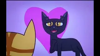 Bayshine & Thriftear in a Nutshell