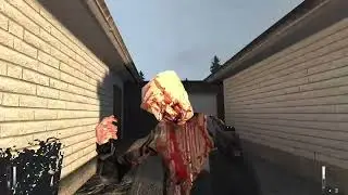 WE FINALLY MADE IT BACK HOME! Cry of Fear Part 14