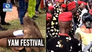 Mbaise Community Celebrates First Yam Harvest In Imo State