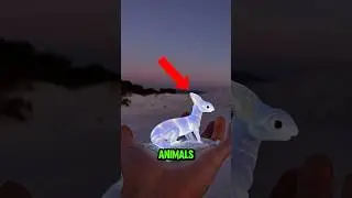 TOP 5 ANIMALS THAT ARE ALMOST IMPOSSIBLE TO SEE! 😱😨
