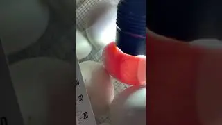 A duck embryo moving inside the egg