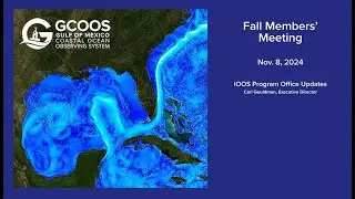 GCOOS Fall Members' Meeting 2024 &mdash; IOOS Office updates