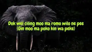 Ikin wa Riky Bird (lyrics)
