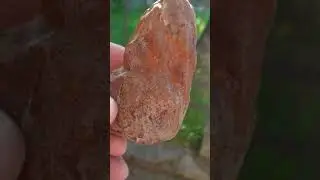 Untreated nuggets of Baltic amber. Were collected from the bottom of the Baltic Sea.