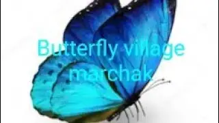 welcome to sikkim butterfly village marchak.